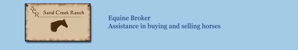 Bette Heller, Equine Broker